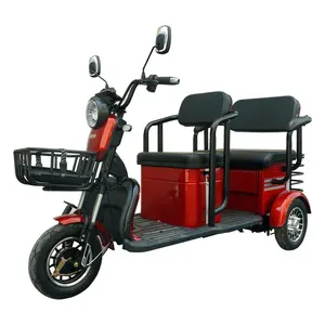 800W 1000W 48V 60V 20AH Electric Passager Tricycle Tourist Tricycle with Lead acid battery