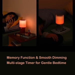 Muid <span class=keywords><strong>2025</strong></span> Plug-in ống đèn bàn với ánh sáng trắng ấm áp thay đổi ánh sáng tâm trạng cho phòng ngủ hoàng hôn bầu không khí ánh sáng cho phòng - Product Image 3