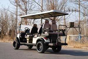Carrito de Golf de 2 Plazas con Carrocería de Acero, 48V, Eléctrico/Gasolina, con Certificación DOT/CE, Mini Cargador de 48V25A, Estilo <span class=keywords><strong>Rolls</strong></span> <span class=keywords><strong>Royce</strong></span>, Nuevo 48V - Product Image 3