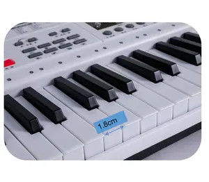 סימולציה BD מוסיקה חינוך 61 מקשי פסנתר אלקטרוני צעצוע עבור סיטונאי