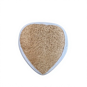 Brosse de lavage corporel ovale en loofah naturel, personnalisable, qualité supérieure, écologique, OEM ODM, qualité export, vente chaude - Product Image 1