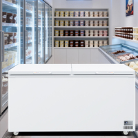 Congélateur Vitrine Commercial de Grande Capacité 1000 L à Double Porte pour Crèmes Glacées et Surgelés, Idéal Supermarché et Épicerie