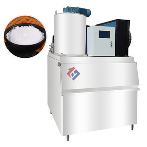 Machine à glace en flocons industrielle de 200 kg/24h, prix, pour refroidir le poisson, la viande et les produits de boucherie - Product Image 6