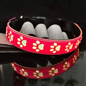 Coleira de Cachorro <span class=keywords><strong>LED</strong></span> de Luxo Recarregável USB HY <span class=keywords><strong>2026</strong></span> Nova e Mais Recente com Fitas e Padrão Sólido para Segurança Noturna Ajustável e com Luzes Piscantes - Product Image 2