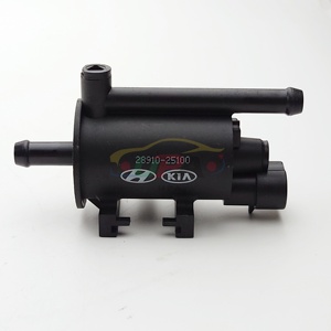 Vanne de purge 28910-25100 pour Hyundai Kia 2891025100 - Product Image 3
