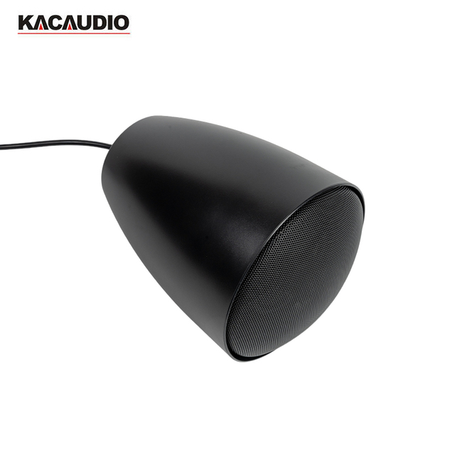 Professional 30W-100V 8 Ohm Pendant Speaker for Warehouse Restaurant Open Ceiling Background Music Paging Projects