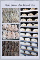Congélateur de type armoire à azote liquide IQF congélation rapide congélateur à 10 plaques froides congelées instantanées pour Durian