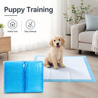 Almohadillas de Entrenamiento para Perros y Cachorros de Alta Resistencia, Ecológicas, con Núcleo de Pulpa Fluff y SAP, de Rápida Absorción, con Base Impermeable IPX7, Venta al por Mayor de Fábrica, OEM