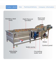 Bellenwasmachine voor de verwerking van diepvriesproducten, garnalen, zeevruchten, groentenreiniger, commercieel, roestvrij staal, food grade