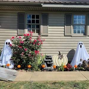 DAMAI Halloween Decorations Outdoor Large Lighted White Ghosts Cute Ghosts Light up Halloween Party Home Porch Yard Decorations - Product Image 3