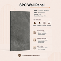 Panneau mural moderne en PVC imperméable et ignifuge avec garantie de 3 ans pour la décoration murale des appartements, des salles de divertissement et des salles de bain