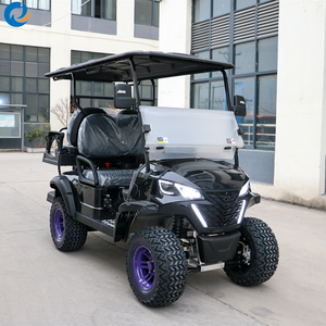 Voiture de tourisme 72V 6 places 5KW tout-terrain homologuée pour la route, chariot électrique rehaussé, buggy de golf - Product Image 4