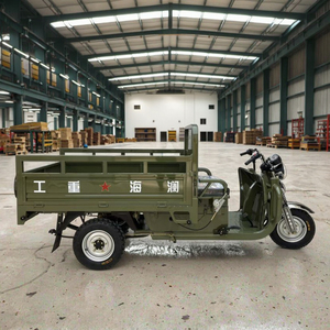 Manufacturer Direct WANGHU 1.8m Electric Cargo Tricycle 3-Wheel Open Body 1500W 1500kg 60V 50-70km/h 400kg National Standard - Product Image 2