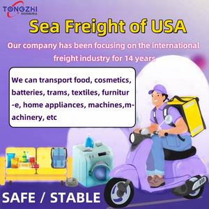 Cosméticos China Shenzhen FBA Comercial Privado Transporte Marítimo Expresso DDP Duty Free Tax Paid Forwarder Agent US LCL + Trucking - Product Image 5