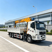 Nouvelle grue mobile montée sur camion de 12 tonnes avec commande hydraulique et roulement pour projets de construction