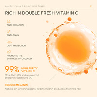 LAIKOU OEM/ODM/OBM Compresse humide 100ml Hydratant Éclaircissant Réduit l'oxydation Sérum tonifiant à la vitamine C