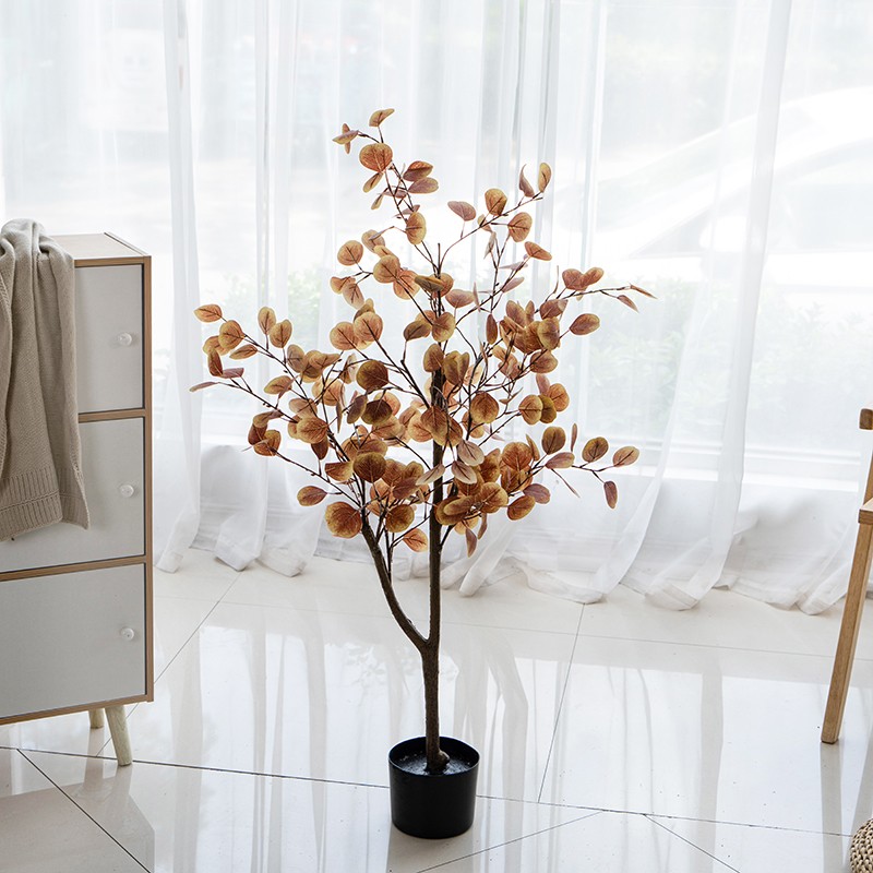 1.2m Eucalipto de Otoño