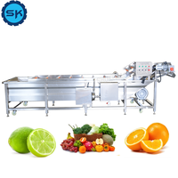 Automatische fruit- en groentenreinigingsmachine met nanobellen en motor - milieuvriendelijk merk SK