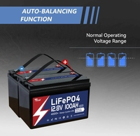 Batterie TEZE 12V 100Ah LiFePO4 avec Bluetooth, auto-chauffant et équilibreur actif, BMS Daly Smart 100A intégré