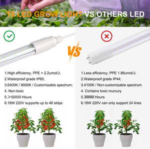 Modular T8 phát triển ánh sáng dọc Rack 4ft thiết kế cho phép cấu hình tùy chỉnh - Product Image 3