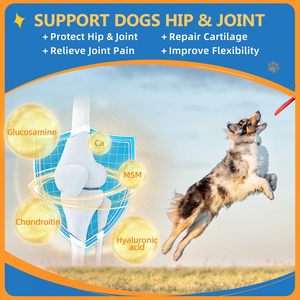 Private Label Pet Multivitamin Powder 15-in-1 Fast Absorption Safe 100% Natural Ingredients Support Digestive Health Joint Bone - Product Image 4