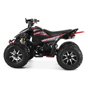 Tao Motor 2024 Nouveau VTT 250cc 4x2 Sport à Transmission par Chaîne - Product Image 3