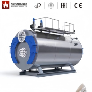 Suministros de Calderas a Presión Personalizadas WNS con Vapor Nominal para Diferentes Necesidades Industriales - Product Image 1