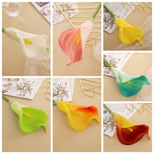ดอกลิลลี่ <span class=keywords><strong>Calla</strong></span> สัมผัสจริง <span class=keywords><strong>Calla</strong></span> ขายส่งสำหรับตกแต่งบ้านงานแต่งงาน faking <span class=keywords><strong>Calla</strong></span> Lily สำหรับตกแต่งบ้านงานแต่งงาน - Product Image 5