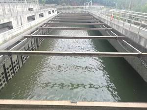 Phi kim loại chuỗi bùn scraper cho nhà máy xử lý nước thải đô thị chuỗi bùn scraper cho bể lắng hình chữ nhật - Product Image 6