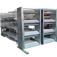 Système de batterie automatique commercial Cages à volaille bon prix équipement d'alimentation de poulet en acier de type H pour la ferme nouvelle condition