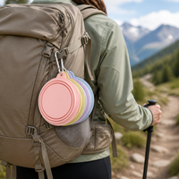 Vente en gros de bols pliables en silicone avec votre logo, portables avec mousqueton, pour le camping en plein air, l'alimentation des animaux de compagnie, OEM ODM