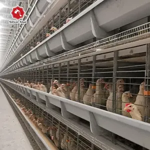 อัตโนมัติกรงสัตว์ปีก Feeding อุปกรณ์ระบบใช้สำหรับชั้นและ Broilers ฟาร์มไก่