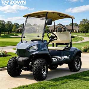 Carrito de Golf Eléctrico Personalizado de Fábrica, Homologado para Circular por la Calle, 6 Pasajeros, Motor de Alto Torque, Carrito Todoterreno para Caza - Product Image 1