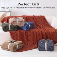 Plüsch-Schal TV-Fleece-Decke Poncho Fabrik China Winter Flauschige Tragbare Sherpa-Decke mit Taschen für Erwachsene