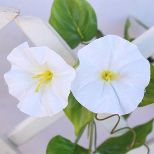 Guirlande de fleurs artificielles Fu Rao Morning Glory en soie pour décoration murale et plafond extérieur, dissimulation - Product Image 2