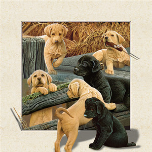 Film personnalisé héros Anime 3D impression de cartes lenticulaires 40x40cm 3d lenticulaire <span class=keywords><strong>affiche</strong></span> Flip 3D lenticulaire décoration photo avec chiens - Product Image 3