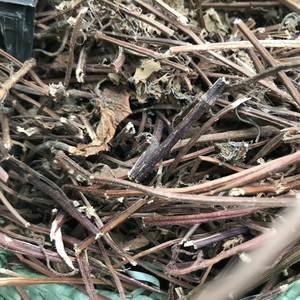 Feuilles de gelée d'herbe du Vietnam de qualité supérieure Gelée d'herbe noire de qualité supérieure Meilleurs prix Exportation en vrac Prêt-à-expédier à base de plantes de haute qualité - Product Image 1