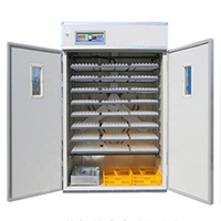 Incubateur à œufs de haute qualité modèle CY-528, machine d'incubation automatique, contrôleur automatique pour incubateur à œufs
