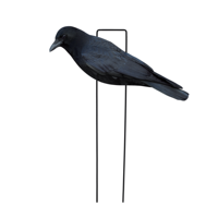Décoys de chasse au corbeau en PP, personnalisés en usine, anti-reflet, imperméables, ultra-réalistes, en forme de silhouette d'oiseau, pour la chasse en extérieur