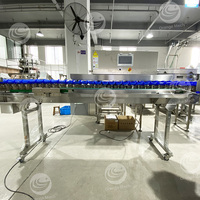 Weeg- en sorteermachine voor verpakte voedingsmiddelen voor drakenvruchten, ananas, meloen, gouden pomfret en inktvis
