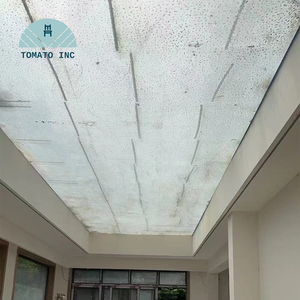 Pared de Acrílico Transparente TOMATO para Piscinas con Dimensiones Personalizadas, Fabricación de Precisión e Instalación Profesional - Product Image 4