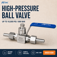 Factory Supply 316SS Bar Stock Instrument Ball Valve 10000 PSI 2 Way 3 Way Double Ferrule NPT BSP Swagelok Type OEM Oil & Gas CE