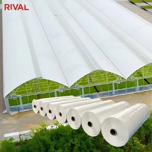 Telo in Plastica per Serra 6 <span class=keywords><strong>Mil</strong></span> Resistente ai Raggi UV, Polietilene Trasparente Resistente, Anti-Goccia, Resistente a Gelo/Vento/Polvere - Product Image 2