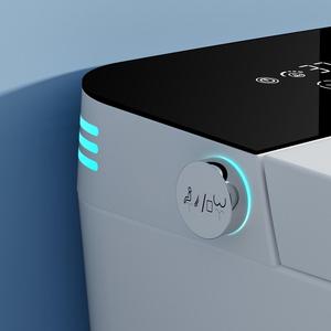 Высокоуровневый умный туалет, 110 В, набор туалетных принадлежностей - Product Image 5