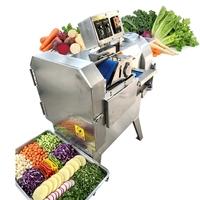 Coupe-légumes automatique industriel et commercial robuste pour pommes de terre, oignons et julienne