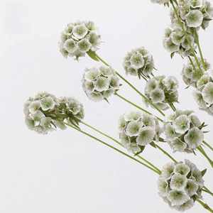 LO-643 Venta al por mayor de fruta artificial de molino de viento de tallo único, vainas de scabiosa artificiales de 6 cabezas para decoración floral y manualidades - Product Image 3
