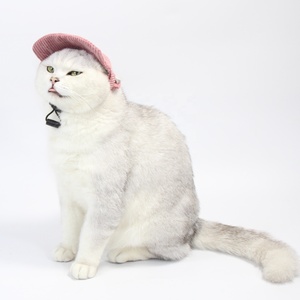 Venda Direta da fábrica Alta Qualidade <span class=keywords><strong>Dog</strong></span> Baseball Cap Pet Outdoor Sports Chapéus Quatro cores para escolher Pet Cat Baseball Chapéus - Product Image 3