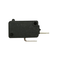 Micro-interrupteur DEWO 16A SPST à levier, conception à broche à piston, indice de protection IP41, 250VAC, usage industriel pour moteurs d'actionneurs