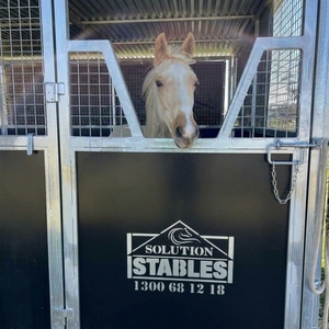 Pannelli scorrevoli personalizzati OEM ODM per centri equestri, facili da pulire, impermeabili, resistenti alla corrosione, in PE HDPE, per box esterni, <span class=keywords><strong>stalle</strong></span> e fienili per cavalli - Product Image 4