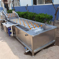 Fruit- en groentevlees-belreinigingsmachine Multifunctionele belreiniger (fruit, groenten, vlees)
